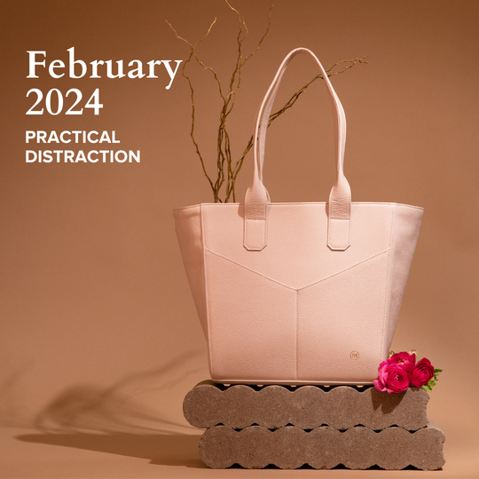 February 2024 Practical Distraction