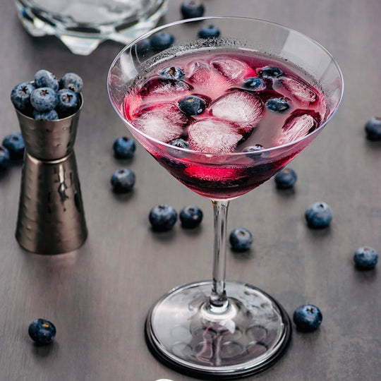 Easy Breezy Blueberry Cocktail (and Mocktail!)